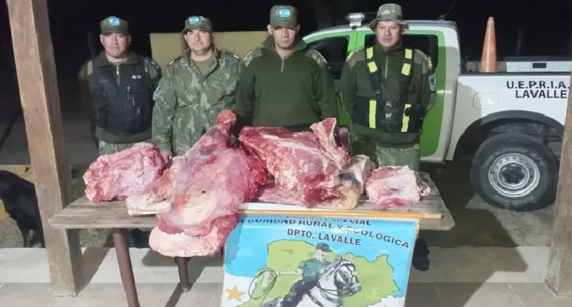 LAVALLE: OTRA CARNICERÍA VENDIENDO CARNE FAENADA ILEGALMENTE